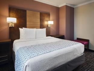 Best Western Fort Myers Inn And Suites Bilik gambar